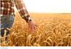 Rapports de l'application de la Charte sociale agricole